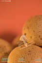 miniature 摄影集 陈燕飞<br/>鹿马影像 | 饮品美食摄影工作室<br/><a class="text-meta meta-link" rel="nofollow" href="<a class="text-meta meta-link" rel="nofollow" href="http://www.larkmark.cn/"" titl