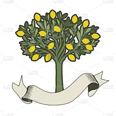 标签,柠檬树,白色背景,空白的,分离着色,白色,黄色,自然,季节,秋天