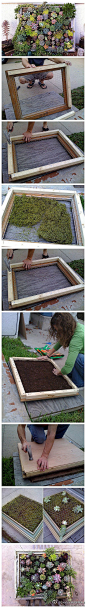 picture frame succulent planter {vertical planters for salad greens & herbs, too}