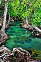 The Emerald Stream, Krabi, Thailand