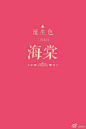 海棠2.9