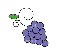 葡萄简笔画水果  - 源文件下载【酷图网】葡萄简笔画,葡萄,水果,葡萄矢量,葡萄手绘