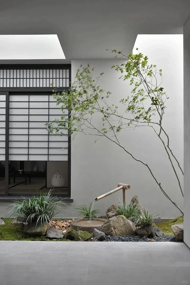 禅意庭院 _ 庭院造景_5_植物造景师-四月_来自小红书网页版