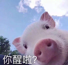zsl三石采集到合成素材