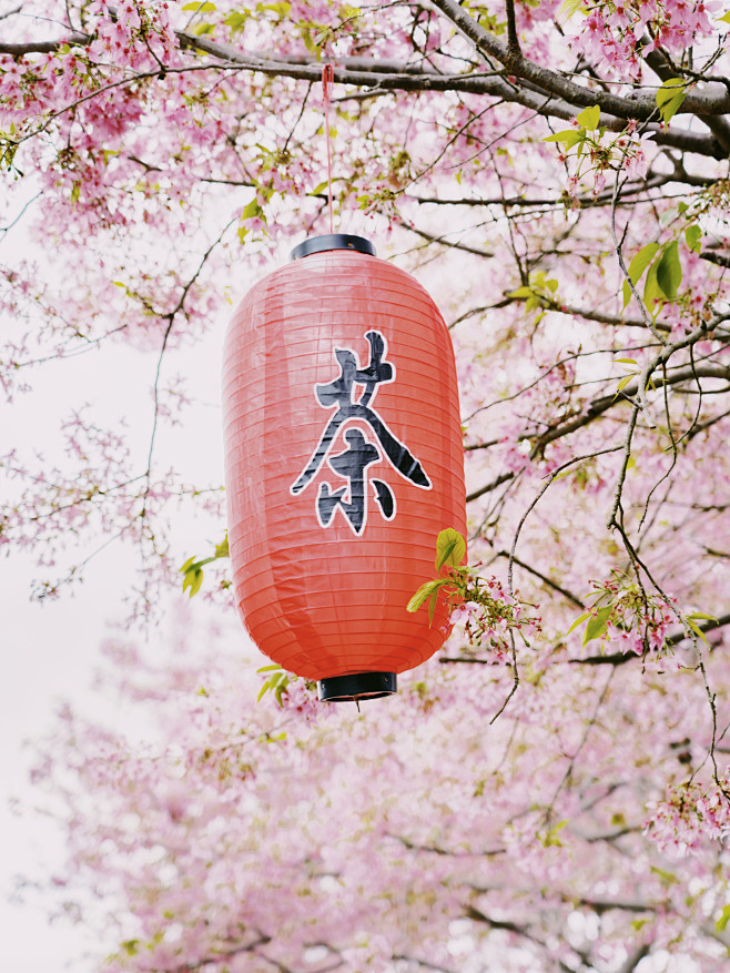 微博 – 随时随地发现新鲜事