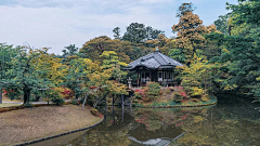 Cintime-F采集到空间—庭院