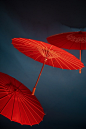 Red wagasa umbrellas floating