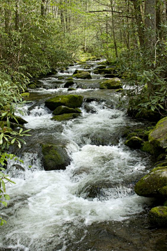 山巳采集到自然 · 【 瀑布浪花 】