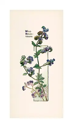 001Q9HNlgy1hnafht56gfj60j90xcwg302