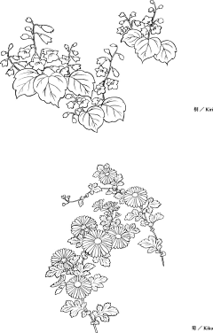 鱼罐头的猫咪采集到插画 花