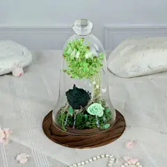 永生花玻璃罩摆件 客厅创意摆件 礼品