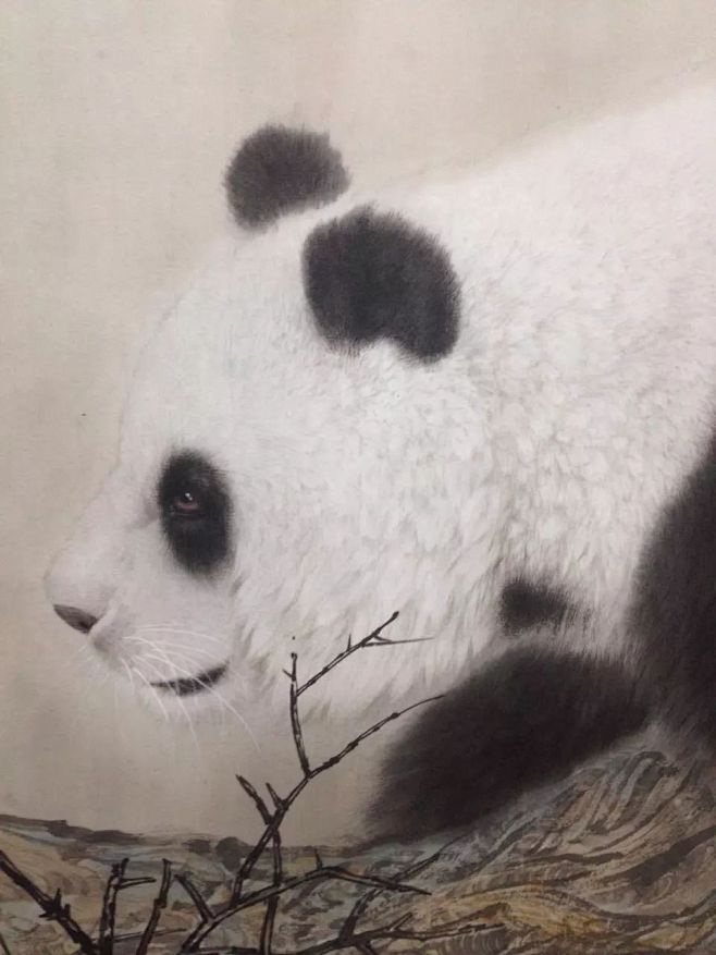 吴孔庭工笔大熊猫