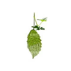 新鲜苦瓜插画    - 源文件下载【酷图网】苦瓜,手绘,蔬菜,凉瓜,插画,苦瓜手绘,收获的季节,果实,苦瓜插画,苦瓜包装盒,苦瓜插画设计
