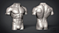 Male Torso - Anatomy Study, Ian Jacobs : An anatomy study of the male torso.  Modeled in Zbrush.  Rendered in Keyshot.