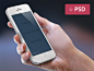 DB Freebies Design Resources from Behance and Dribbble