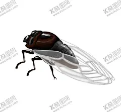 动物蝉的卡通插画 【酷图网】知了,爬叉,宠物,萌宠,翅膀,苍蝇,昆虫世界,特写背景,卡通漫画,幼儿园,宏观,棕色知了,夏天,夏日炎热,自在,昆虫类,蝴蝶,蝉,黑白,标本,水牛,毛毛虫,甲壳虫,蜗牛,蜘蛛,动物图形元素,野生动物,生物世界,黑白昆虫,绘画美术,卡通动漫,手绘插画,艺术剪影,动物世界,动物表演,童话世界,儿童绘本