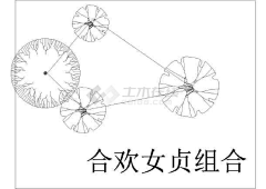 全中文昵称采集到来学植物配置