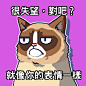 我在史上最差的不爽貓遊戲中#grumpycat http://grumpy.cat/GCWorstGameEver獲得了80