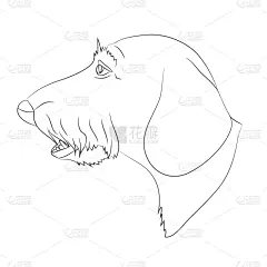 肖像,狗,腊肠犬,线条,可爱的,直的,简单,自然美,动物,绘制