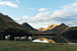 Sheep in New Zealand by Kaitlyn McLachlan on 500px