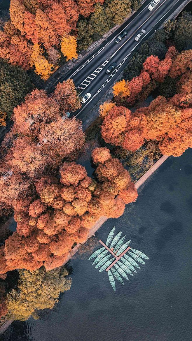 藏匿在西湖边杨公堤的秋