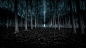 【美图分享】Matt Weller的作品《Haunted Forest》 #500px#