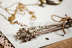 熏衣草,干的,贺卡,褐色,古董,水平画幅,纺织品,无人,干花,古老的