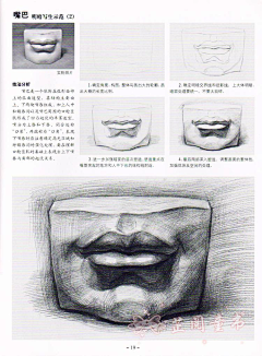 小㬢采集到素描