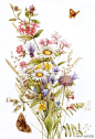 Marjolein Bastin