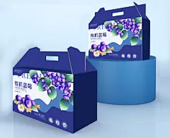 蓝莓有机包装 蓝莓 秘鲁蓝莓 蓝莓主图 云南蓝莓 大蓝莓 蓝莓鲜果 高山蓝莓 手绘蓝莓 蓝莓包装 蓝莓包装插画 蓝莓插画 水果包装插图 手绘蓝莓
