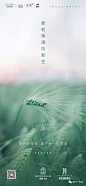 微信图片_20200519103827