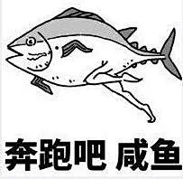 咸鱼表情包_360图片