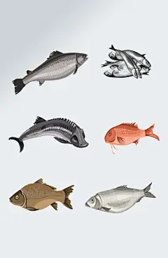 鱼海产品海鲜插画素材