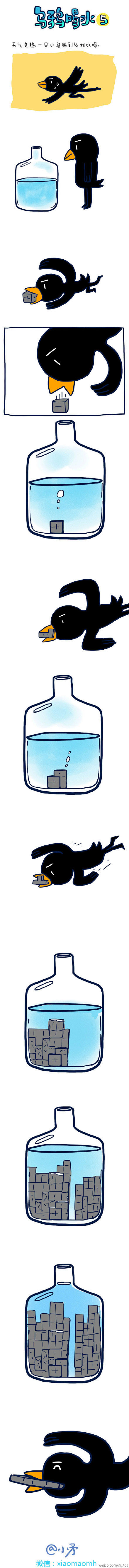 #小矛毁童年# 有强迫症的小乌鸦喝水的故...