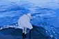 插画师 青藤スイ  ramuneblue.tumblr.com