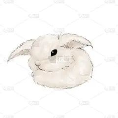 绒毛宝宝兔兔插图