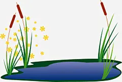 手绘池塘免抠素材_新图网 https://ixintu.com 手绘 池塘 芦草