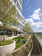 美国奥兰多儿童医院建筑景观设计