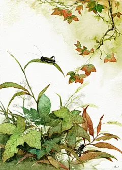 【观秋虫】-WENZHE