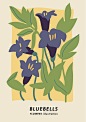 小众花朵插图抽象海报北欧小清新植物花卉插画矢量AI素材