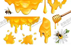 蜜蜂 【酷图网】蜜蜂,蜂蜜,昆虫,手绘,插画,Ai矢量,图片素材