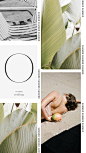 (200) Pinterest