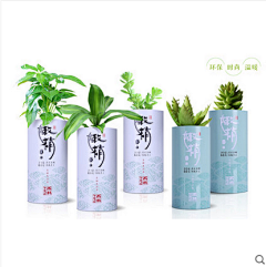 阿MO尔采集到雨林古茶