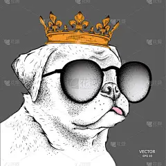 手绘图像可卡犬肖像王冠上。用于打印、 海报、 t 恤。手画矢量图