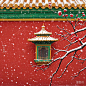 宫廷背景 红砖绿瓦  红梅白雪 红墙 古风插画