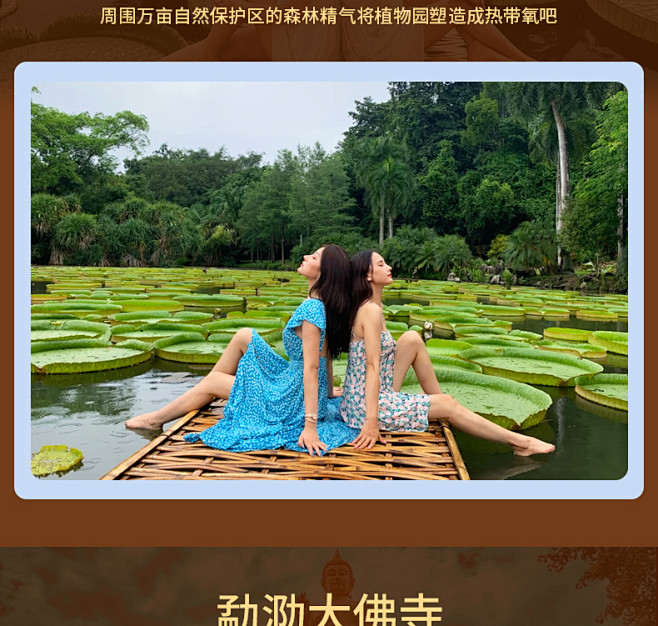 【含往返机票】云南西双版纳旅游昆明普洱野...