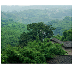 山边小草儿采集到GREEN