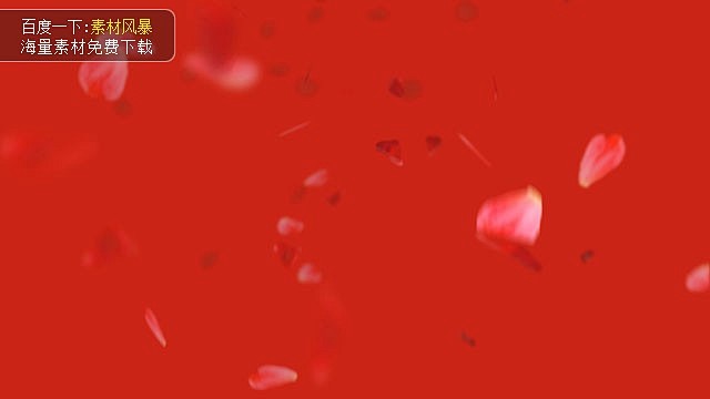 红色喜庆的玫瑰花瓣飘落视频素材模板下载_...