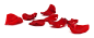 红色 花瓣 玫瑰花瓣 装饰元素免抠png图片壁纸