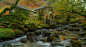 秋天 树叶 树木 河流 岩石 苔藓 水磨 4K风景图片壁纸